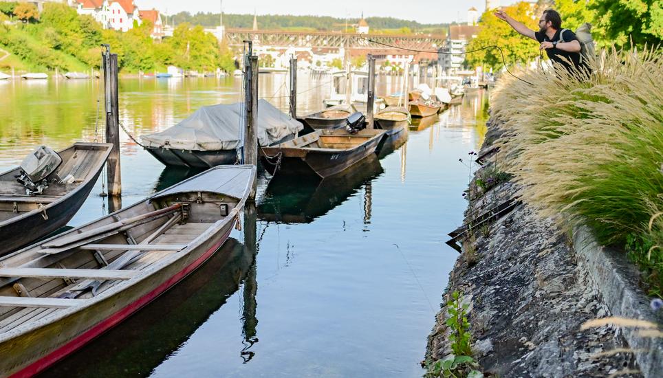 Auf dem Rhein kann ein Weidling fÃ¼r einen Tag gemietet werden, SN Redaktor Till Burgherr mach den Selbstversuch fÃ¼r Leben und Genuss, am Montag, 18 August 2025. (Melanie Duchene / Schaffhauser Nachrichten)
