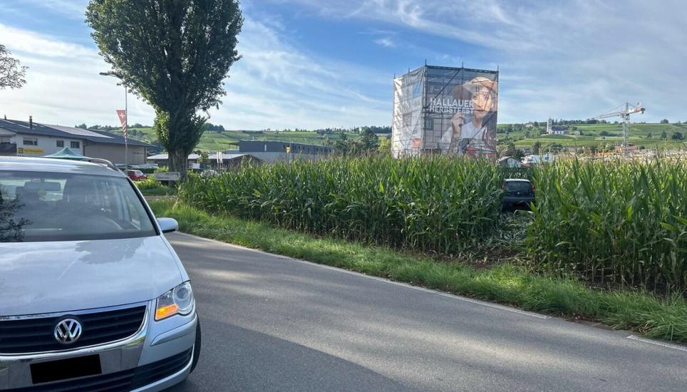 Bei dem Unfall wurde eine Person leicht verletzt. Bild: SHPol