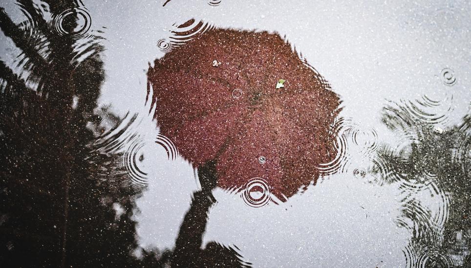 Ein knallig pinker Regenschirm spiegelt sich in einer Pfuetze auf dem grauen Asphalt. Wer an diesem regnerischen Tag vor die Tuer geht schuetzt sich mit einem Schirm. Wann kommt die Sonne wieder , am Dienstag, 21 Mai 2024. (Melanie Duchene / Schaffhauser 