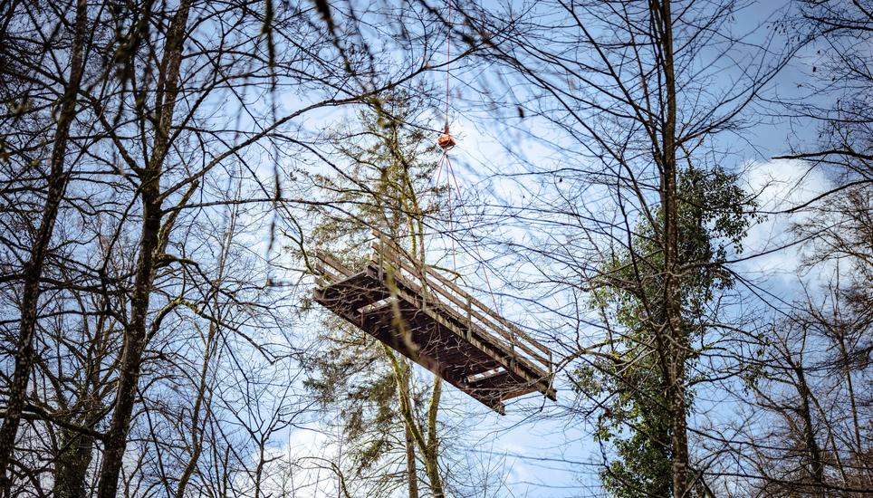 Anbringung der neuen Stahl HolzbrÃ¼cke im FelsentÃ¤li, fotografiert am Dienstag, 17. Februar 2026, in Schaffhausen. (Roberta Fele / Schaffhauser Nachrichten)