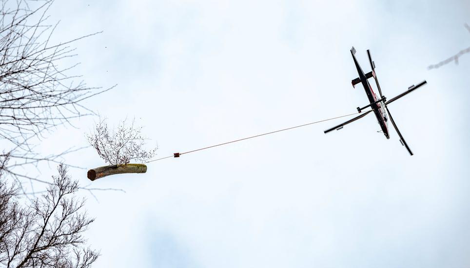 Anbringung der neuen Stahl HolzbrÃ¼cke im FelsentÃ¤li, fotografiert am Dienstag, 17. Februar 2026, in Schaffhausen. (Roberta Fele / Schaffhauser Nachrichten)