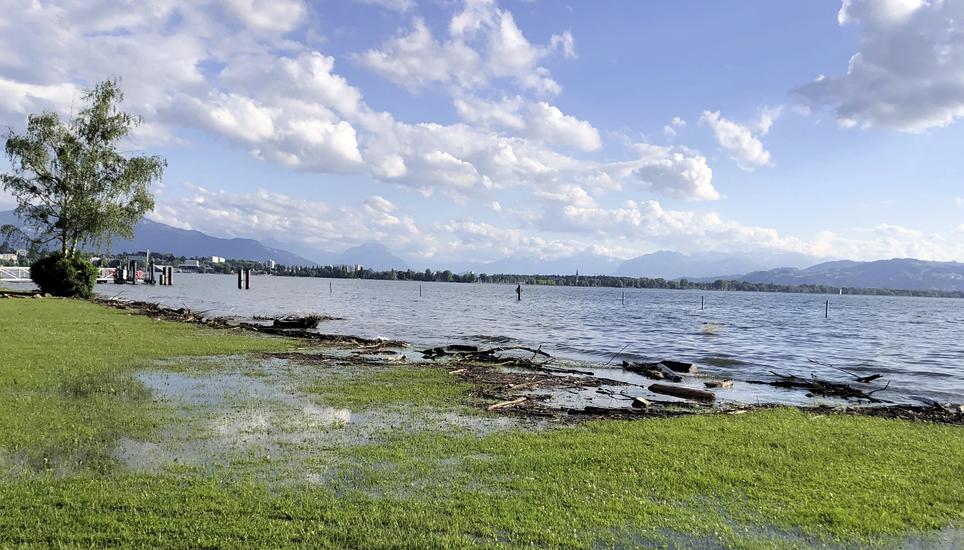 Der Bodensee bei Bregenz im Juli 2024. Bild: zvg/Thomas Blank