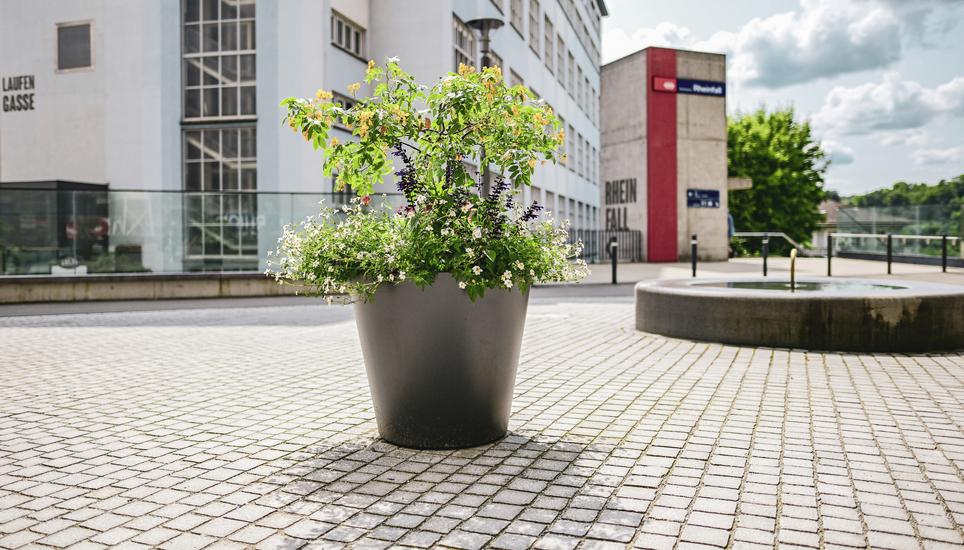 In den vergangenen Monaten wurden in Neuhausen grosse Blumentöpfe aufgestellt. Bald sollen grössere Massnahmen folgen, um Neuhausen attraktiver zu machen. Bild: Melanie Duchene Neue Blumentï¿ï¾¶pfe beim SIG Areal und in Neuhausen , am Mittwoch, 24 Juli 2024. (Melanie Duchene / Schaffhauser Nachricht
