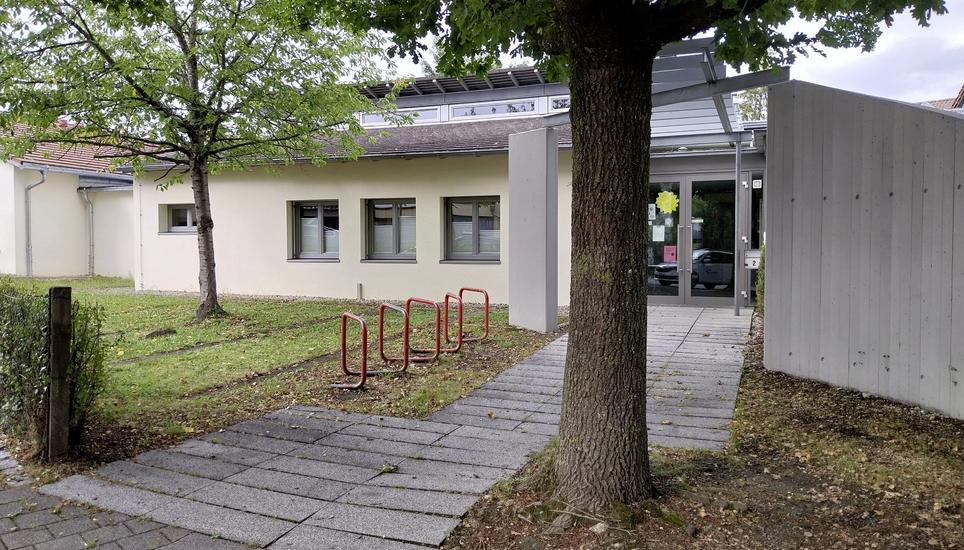 Die «Bürgermeistereiche» beim Kindergarten Rheinwiese. Die Anhebung des Plattenbelags durch die Wurzeln ist deutlich zu erkennen. Bild: Thomas Martens