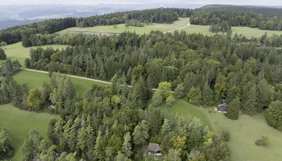 Hier auf dem Randen bei Merishausen hat sich eine Frau mit der Sarco-Suizidkapsel das Leben genommen. Bild. keystone