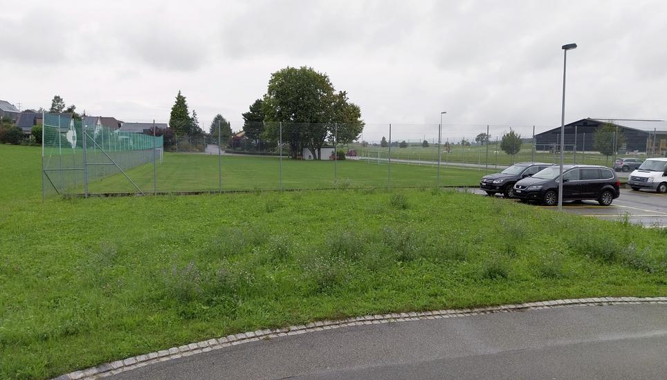 Auf dieser Wiese beim Fussballplatz in Henggart sollen die Asylcontainer gebaut werden. Bild: Thomas Martens