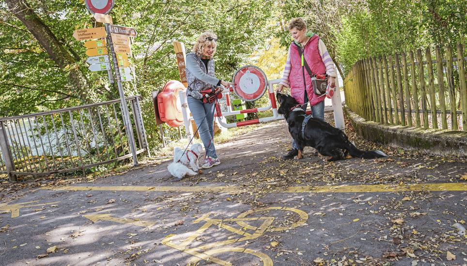 Zum ï¿ï¾rger vieler Fussgï¿ï¾¤nger und Spaziergï¿ï¾¤nger mit Hund fahren dem Rhein Richtung Rheinfall immer viele Fahrrad Fahrer trotz allgemeinem Fahrverbot, Andrea Bachmann, schwarzer Hund, und Yvonne Engel haben eine Petition eing