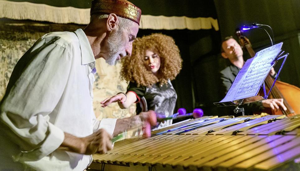 Erich Fischer (alias Joey), sein Vibrafon, die Sängerin Katy Che und der Kontrabassist Thomas Lähns überraschen mit ihrer Intensität. Bild: Indrani Das Schmid