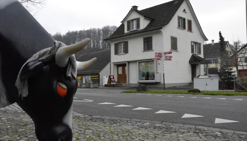 Der Kreditantrag von 1,1 Millionen Franken für die Sanierung der Liegenschaft an der Diessenhoferstrasse 2 wurde angenommen. Bild: Alexander Joho
