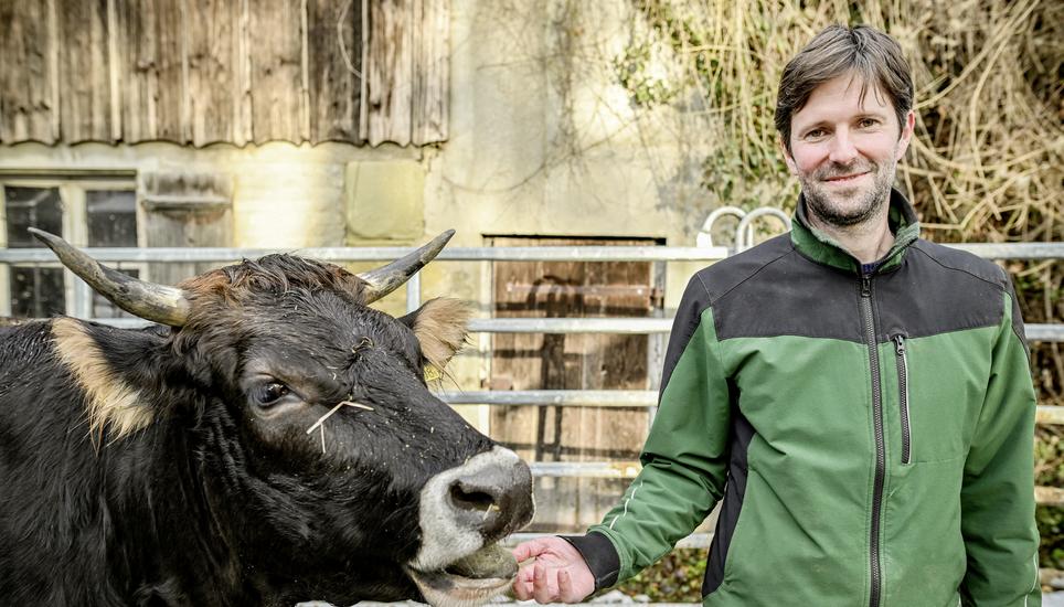 Portrait und Interview von Kilian Baumann, Grï¿ï¾¼nen Nationalrat und Bauer, auf seinem Biohof in Suberg, am Montag, 25. November 2024. (Melanie Duchene / Schaffhauser Nachricht