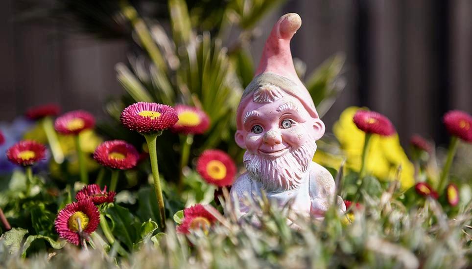 Nicht Gartenzwerge, sondern Gartenzonen erhitzen die Trasadinger Gemüter. Bild: Melanie Duchene Rundgang durch die Schrebergaerten an der Artilleriestrasse, am Freitag, 3. April 2020. (Melanie Duchene / Schaffhauser Nachrichten)