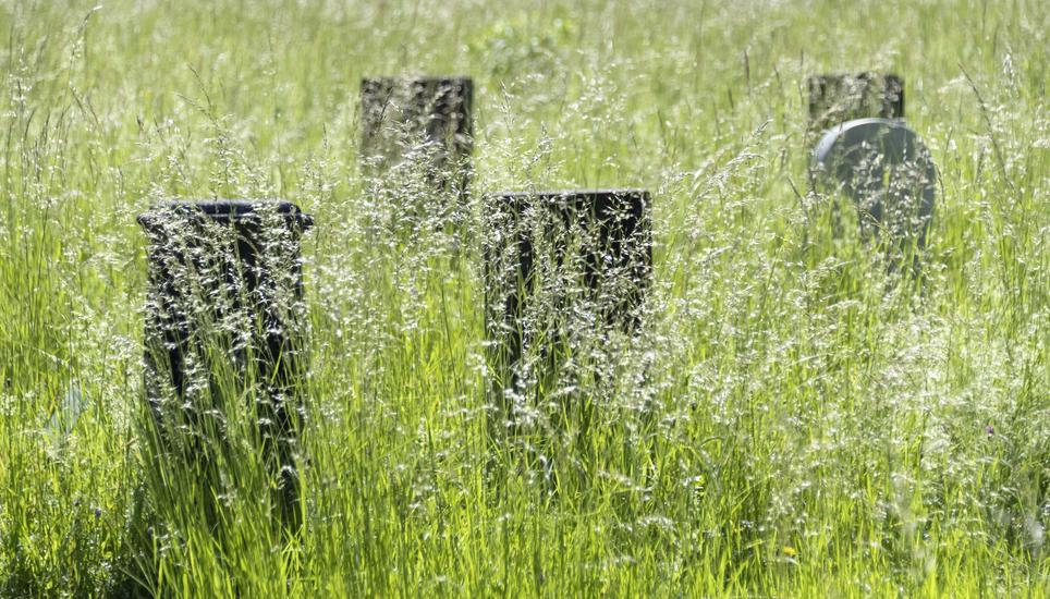 Die Reerdigung ist eine ökologische Form, beerdigt zu werden. Foto: Keystone