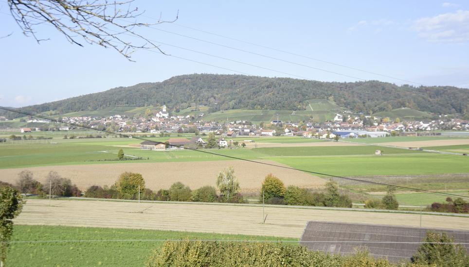 Der Stammerberg, vom Schloss Schwandegg ausgesehen (Aufnahme von Oktober 2022). Davor: die Gemeinde Stammheim. Bild: Alexander Joho