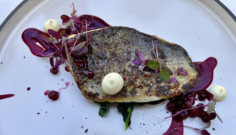 Der Wolfsbarsch schmeckt zart und saftig. Dazu wird Risotto mit Spinat und Randen serviert.