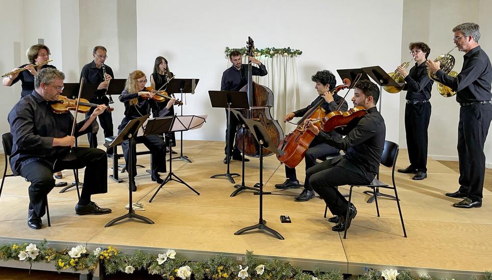 Im Rheinauer Mühlesaal: Das «Sommerserenaden»-Ensemble mit hohem Können, Ernsthaftigkeit und Wiener Charme. Bild: Matthias Zweifel
