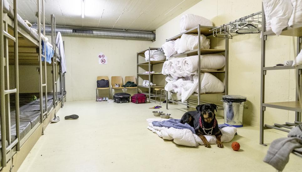 , fotografiert am  , in . (Roberta Fele / Schaffhauser Nachrichten)