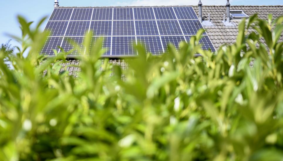 Auch Batteriespeicher für Solaranlagen sind im neuen Förderprogramm erhalten. Bild: Melanie Duchene Solarzellen auf einem Hausdach, am Donnerstag, 26. August, 2021. (Melanie Duchene / Schaffhauser Nachrichten)