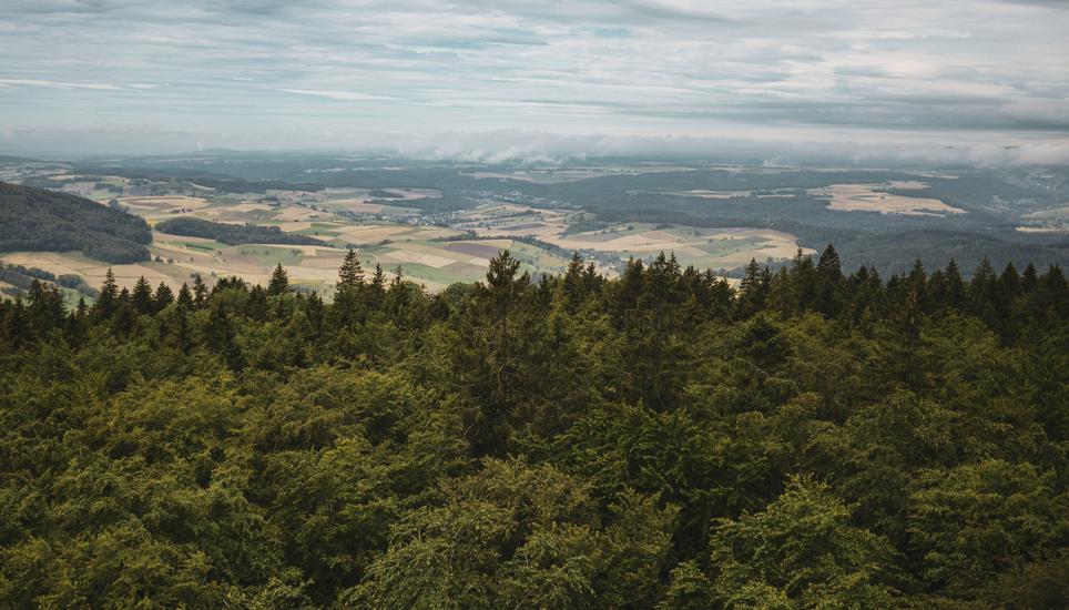 Serie der vier Randentuerme in Schaffhausen, Bild zeigt den Hagenturm in Merishausen, am Donnerstag, 27. Juli 2023. (Melanie Duchene / Schaffhauser Nachrichten)