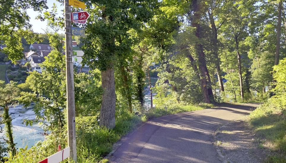 Wegen Sanierungsarbeiten muss der Fähreweg zwischen Dachsen und Nohl für etwa einen Monat gesperrt werden. Bild: Thomas Martens