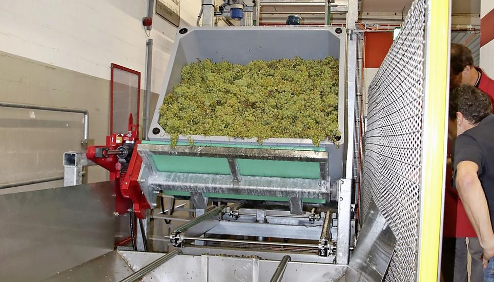 Das Herzstück der neuen Anlage mit der Waage hinter dem Steuerkasten, der Datenerfassung und dem «Oechsle-Roboter». Bilder: Roland Müller