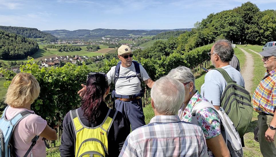 Oberhalb der Aichhaalde mit Blick nach Eglisau: Beat Schmidlin erklärt seiner Wandergruppe die Besonderheiten des Buchberger Weinbaus. Bild: Toni Saller