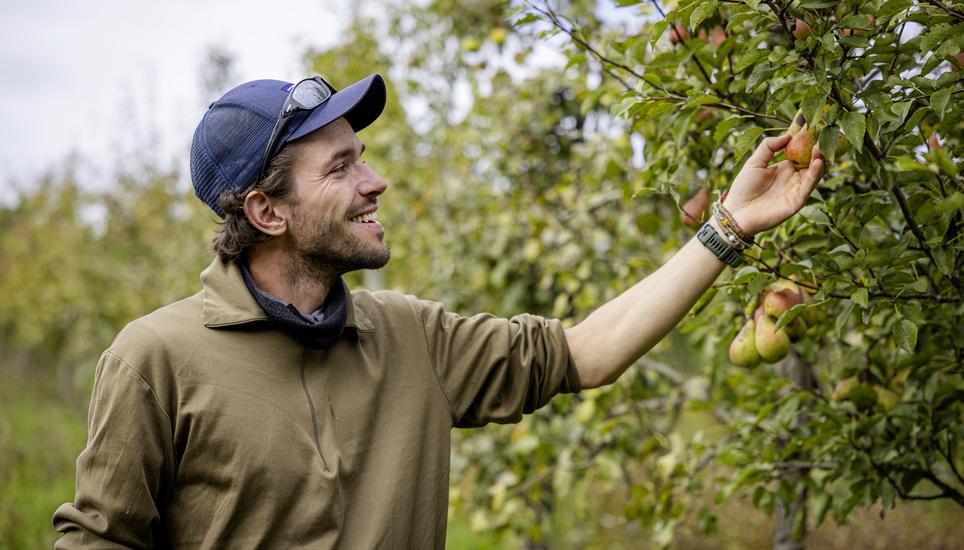 Obstsortengarten, fotografiert am Mittwoch, 17. September 2025, in Schaffhausen. (Roberta Fele / Schaffhauser Nachrichten)