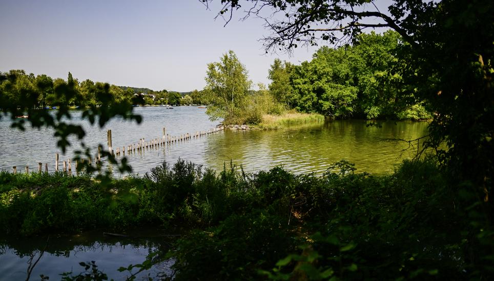 Blick auf die Petribucht mit Benjamin Homberger, Abteilungsleiter Gewï¿ï¾¤sser des Kanton Schaffhausen, am Dienstag, 12 August 2025. (Melanie Duchene / Schaffhauser Nachricht