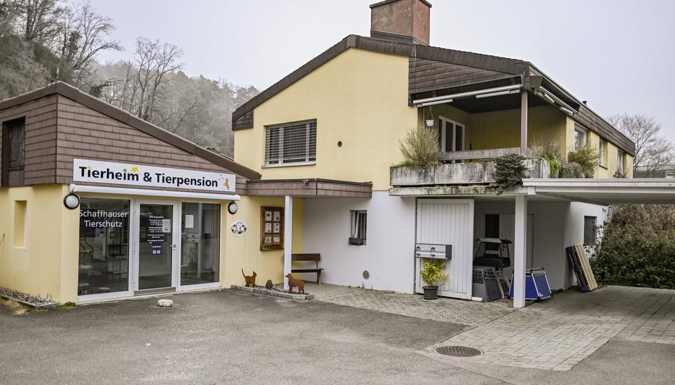 Einblicke ins Tierheim Schaffhausen, am Mittwoch, 05. Februar 2025. (Melanie Duchene / Schaffhauser Nachrichten)
