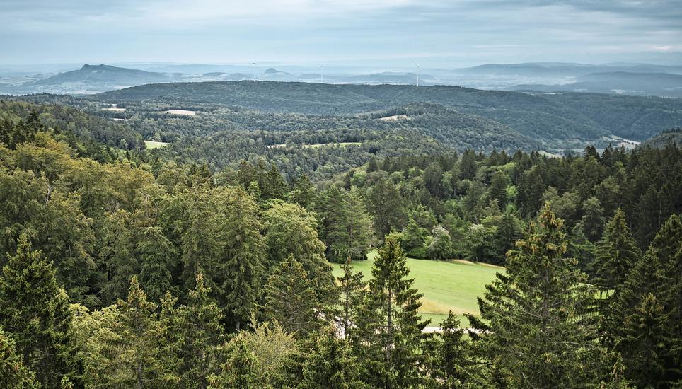 Serie der vier Randentuerme in Schaffhausen, Bild zeigt den Hagenturm in Merishausen, am Donnerstag, 27. Juli 2023. (Melanie Duchene / Schaffhauser Nachrichten)
