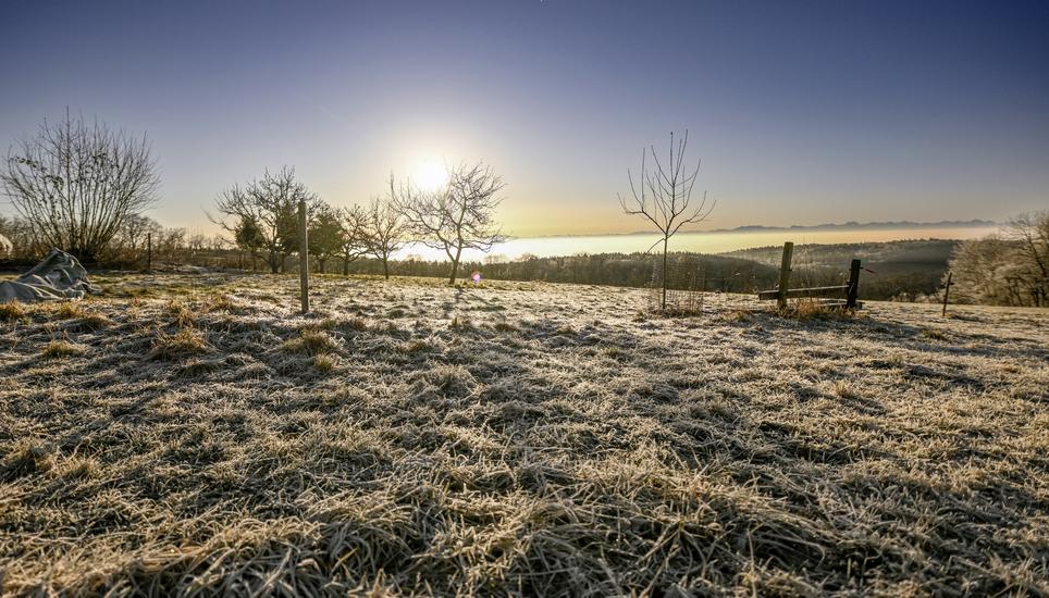 ï¿ï¾ber dem Nebelmeer, Blick vom Siblinger Randen aus in die winterliche Landschaft mit Sonne statt Nebel, am Mittwoch, 05. Februar 2025. (Melanie Duchene / Schaffhauser Nachricht