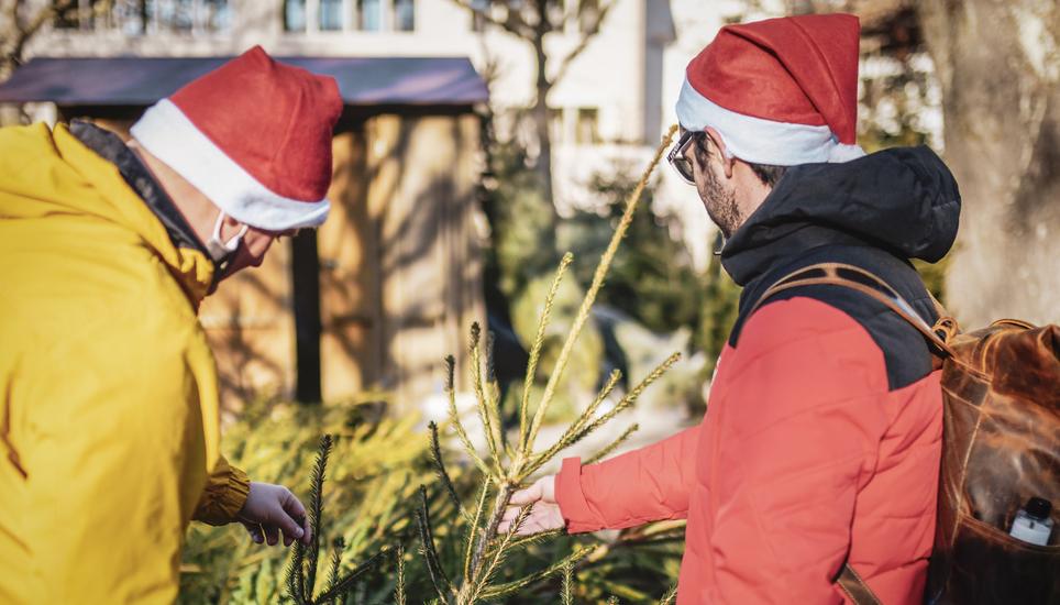 Impressionen zum Weihnachtsbaum Verkauf im Mosergarten der Familie Schmid, am Samstag, 18. Dezember, 2021. (Melanie Duchene / Schaffhauser Nachrichten)