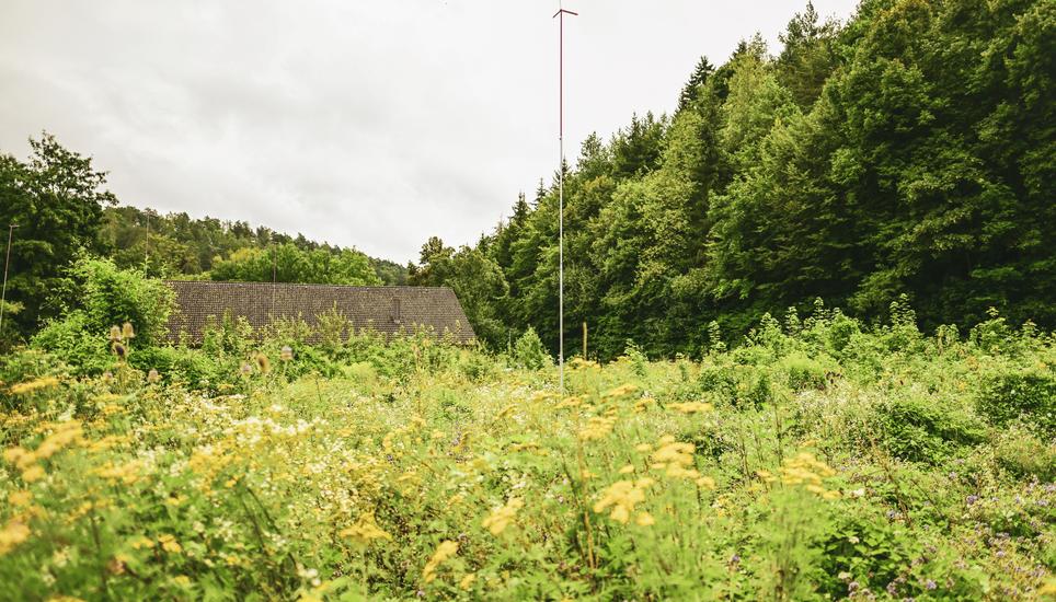 Blick auf die ehemalige Mï¿ï¾¼lldeponie Sommerwies in der Breite, am Mittwoch, 07.. August 2024. (Melanie Duchene / Schaffhauser Nachricht