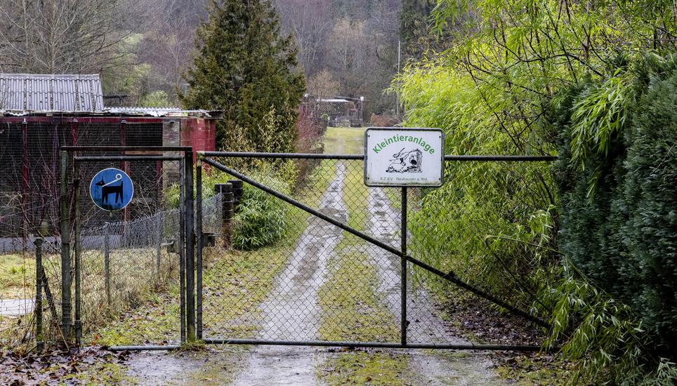 Neuhauser Kleintierzï¿ï¾¼chterareal, Mittwoch, 11.02.2026, Neuhausen am Rheinfall (Roger Hofstetter/Schaffhauser Nachricht