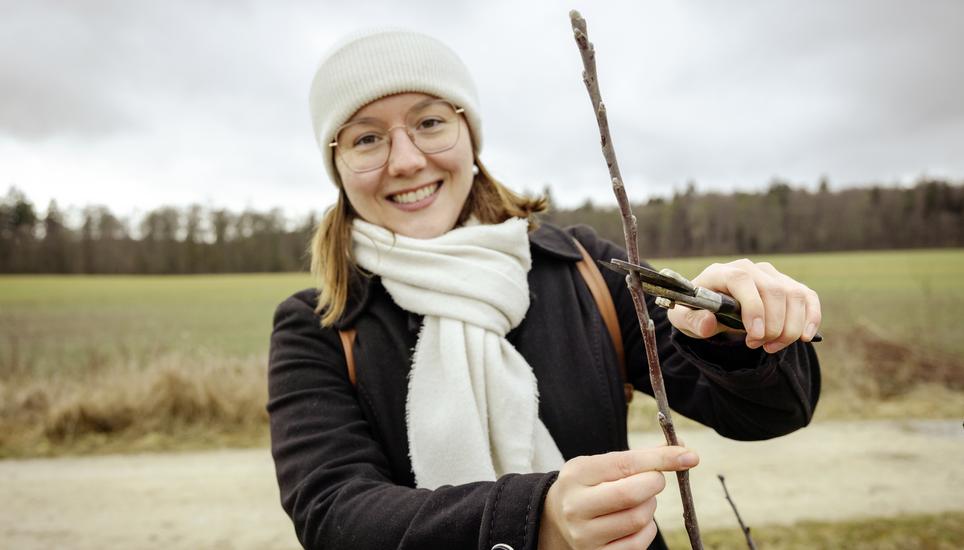 Sarah Bï¿ï¾¤nziger, Std. Geschï¿ï¾¤ftsfï¿ï¾¼hrerin vom Regionaler Naturpark Schaffhausen fï¿ï¾¼hrt uns in den Obstbaumschnitt ein, fotografiert am Dienstag, 17. Februar 2026, in Schaffhausen. (Roberta Fele / Schaffhaus