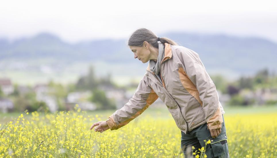 Portrait von Landwirtin Gabi Uehlinger im Bezug zur umstrittene Landwirtschaftsinitiativen., am Dienstag, 18. Mai, 2021. (Melanie Duchene / Schaffhauser Nachrichten)