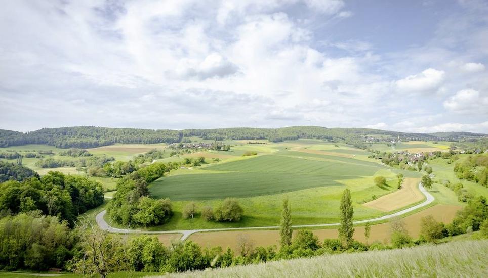 Pia Sulser, Regionaler Naturpark Schaffhausen, Genusspfad Savurando, selbstversuch mit Lucas Blumer, fotografiert am Mittwoch, 07. Mai 2025, in Opfertshofen. (Roberta Fele / Schaffhauser Nachrichten)