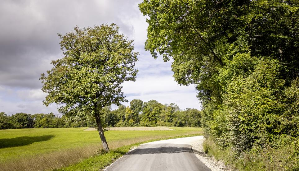 Neu asphaltierte Teststrecke, Randenï¿ï¾¼berfahrt. Bei Mï¿ï¾¤serich Parkplatz, fotografiert am Dienstag, 16. September 2025, in Beggingen. (Roberta Fele / Schaffhauser Nachr