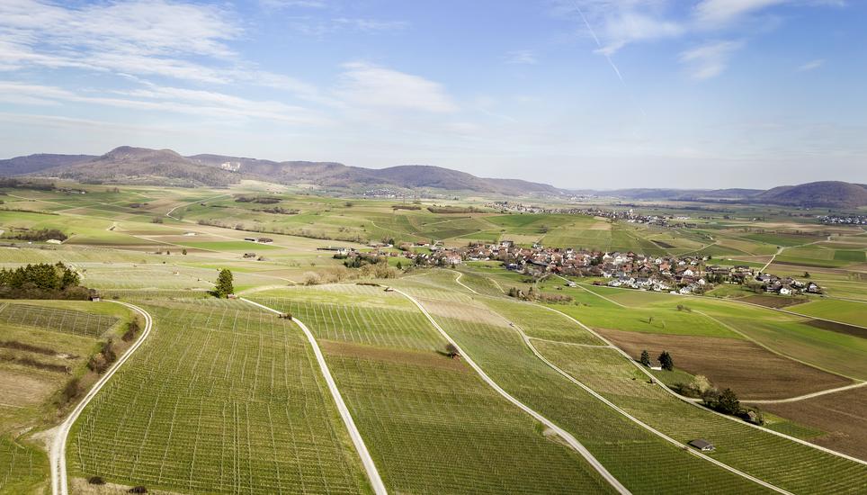 ï¿ï¾bersicht des Klettgaus von Oberhallau aus, fotografiert am Dienstag, 10. Mï¿ï¾¤rz 2026, in Oberhallau. (Roberta Fele / Schaffhauser Nachr