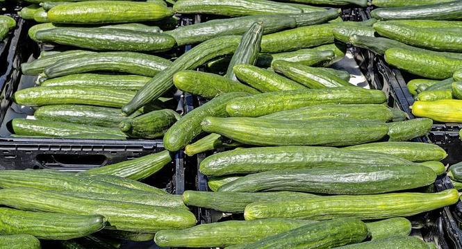 Marktstand mit Obst und Gem??se, Klaistow, Brandenburg, Deutschland