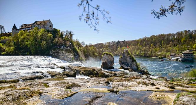 Touristen besuchen den Rheinfall bei sonnigem Wetter, wenig Wasser fliesst den Felsen herunter, am Dienstag, 08. April 2025. (Melanie Duchene / Schaffhauser Nachrichten)