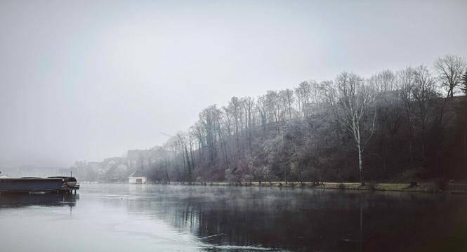 Dicker Nebel am Morgen frueh schwebt mystisch ueber den Rhein, schon fast grau in grau begruesst uns der Montagmorgen dem Gewaesser entlang, am Montag, 29. Januar, 2024 (Melanie Duchene / Schaffhauser Nachrichten)