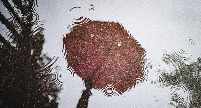 Ein knallig pinker Regenschirm spiegelt sich in einer Pfuetze auf dem grauen Asphalt. Wer an diesem regnerischen Tag vor die Tuer geht schuetzt sich mit einem Schirm. Wann kommt die Sonne wieder , am Dienstag, 21 Mai 2024. (Melanie Duchene / Schaffhauser 