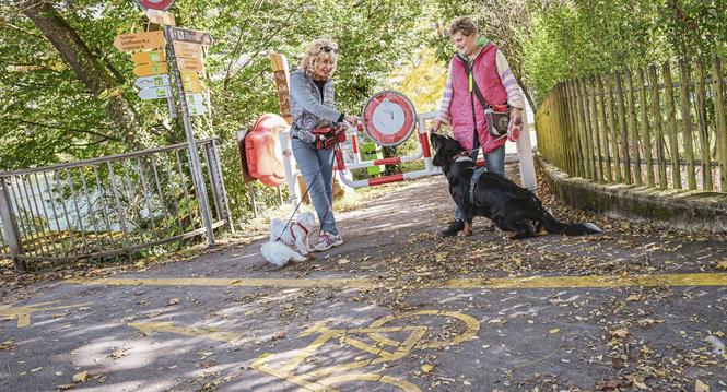 Zum ï¿ï¾rger vieler Fussgï¿ï¾¤nger und Spaziergï¿ï¾¤nger mit Hund fahren dem Rhein Richtung Rheinfall immer viele Fahrrad Fahrer trotz allgemeinem Fahrverbot, Andrea Bachmann, schwarzer Hund, und Yvonne Engel haben eine Petition eing
