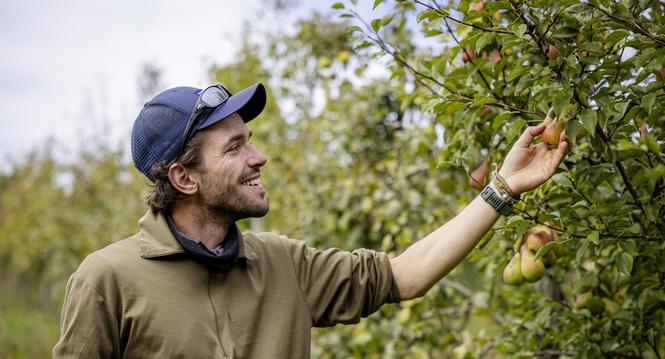 Obstsortengarten, fotografiert am Mittwoch, 17. September 2025, in Schaffhausen. (Roberta Fele / Schaffhauser Nachrichten)