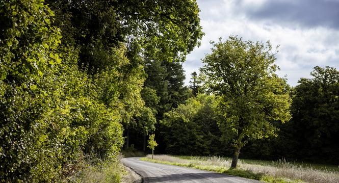Neu asphaltierte Teststrecke, Randenï¿ï¾¼berfahrt. Bei Mï¿ï¾¤serich Parkplatz, fotografiert am Dienstag, 16. September 2025, in Beggingen. (Roberta Fele / Schaffhauser Nachr