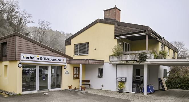 Einblicke ins Tierheim Schaffhausen, am Mittwoch, 05. Februar 2025. (Melanie Duchene / Schaffhauser Nachrichten)
