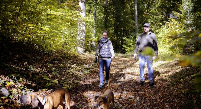 Romana Wirth und ihr Partner Christian suchen mit ihren Hunden nach Trï¿ï¾¼ffel, Raomana bildes Trï¿ï¾¼ffelhunde aus, fotografiert am Mittwoch, 15. Oktober 2025, in Siblingen. (Roberta Fele / Schaffhauser Nachr