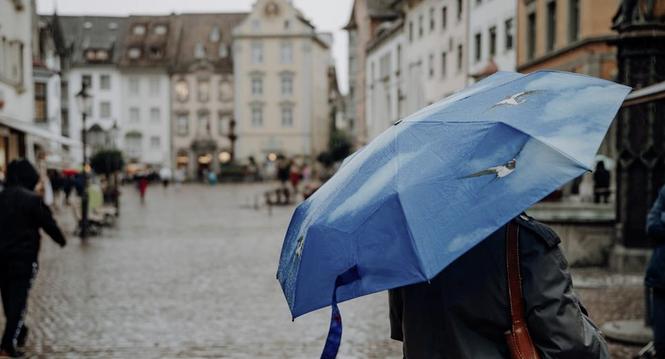 , fotografiert am  , in . (Roberta Fele / Schaffhauser Nachrichten)