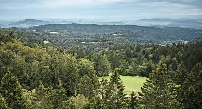 Serie der vier Randentuerme in Schaffhausen, Bild zeigt den Hagenturm in Merishausen, am Donnerstag, 27. Juli 2023. (Melanie Duchene / Schaffhauser Nachrichten)