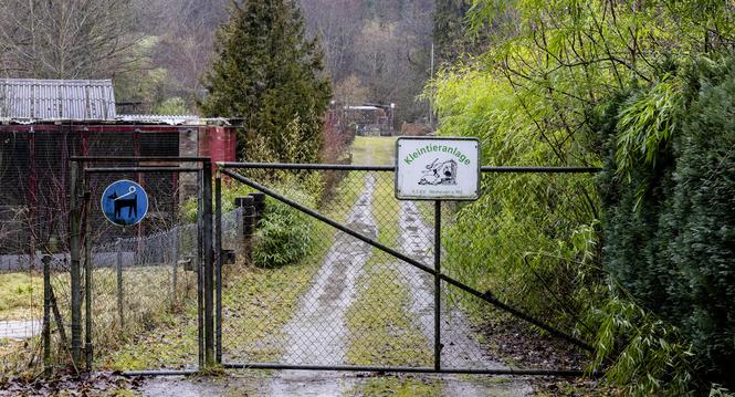 Neuhauser Kleintierzï¿ï¾¼chterareal, Mittwoch, 11.02.2026, Neuhausen am Rheinfall (Roger Hofstetter/Schaffhauser Nachricht